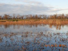 DSCN6622.JPG