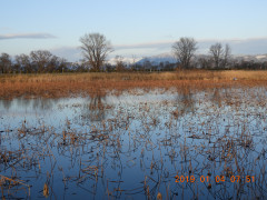 DSCN6623.JPG