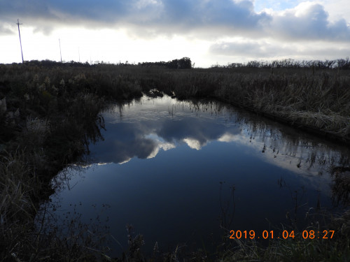 DSCN6649.JPG