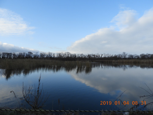 DSCN6650.JPG