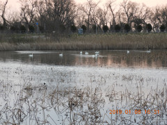 DSCN6752.JPG
