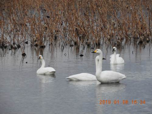 DSCN6754.JPG