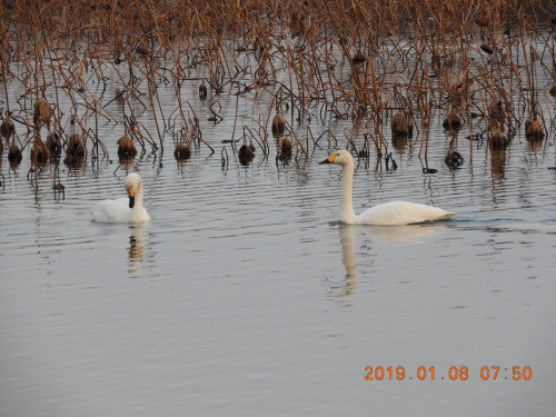 DSCN6727.JPG