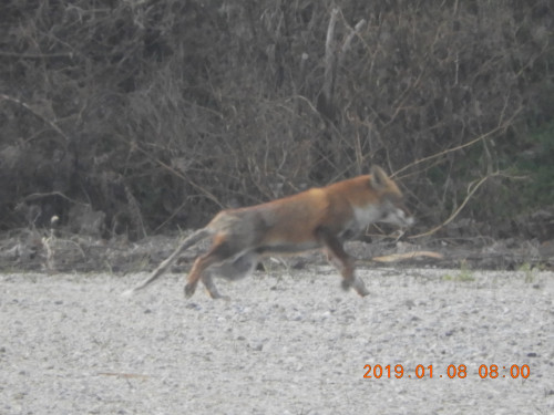 DSCN6743.JPG