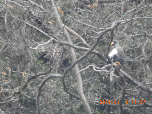 DSCN6817.JPG