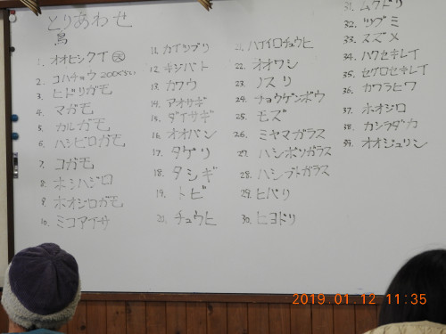 DSCN6832.JPG