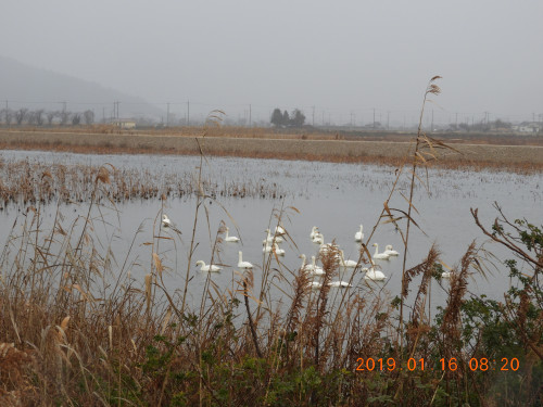 DSCN6841.JPG