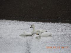 DSCN6854.JPG