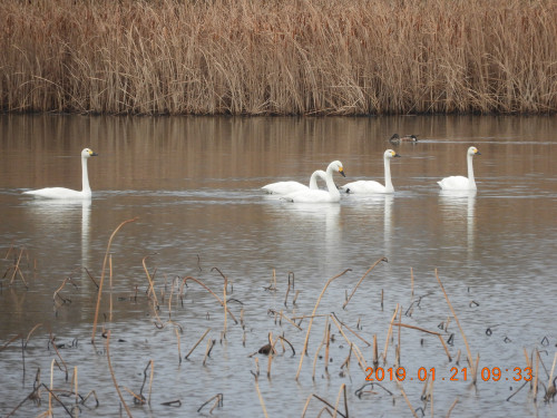 DSCN6856.JPG
