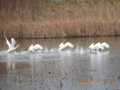 DSCN6858.JPG
