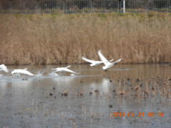 DSCN6859.JPG