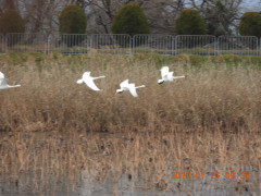 DSCN6860.JPG