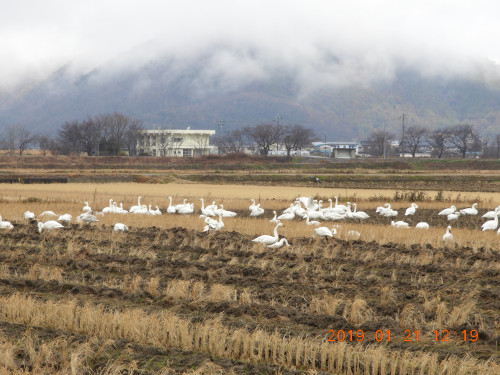 DSCN6863.JPG