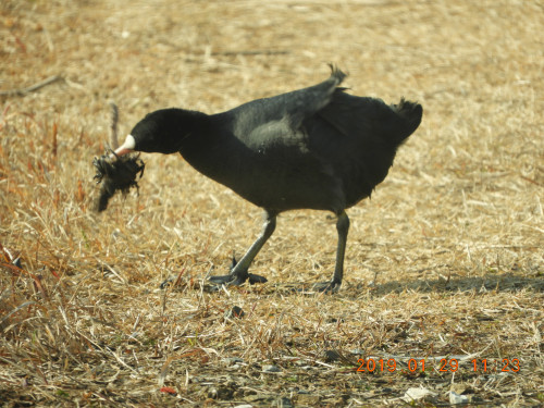 DSCN6940.JPG