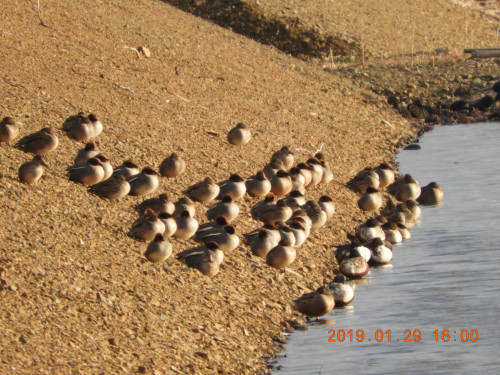 DSCN6953.JPG