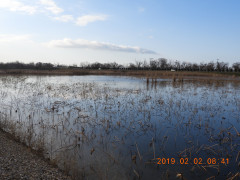 DSCN6987.JPG
