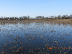 DSCN6988.JPG