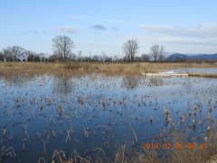 DSCN6989.JPG