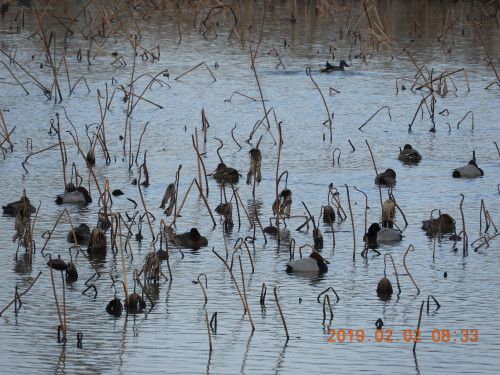 DSCN6977.JPG