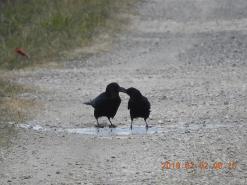 DSCN6970.JPG