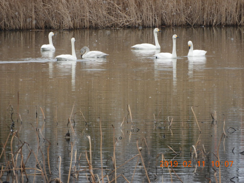DSCN6647.JPG