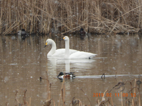 DSCN6637.JPG