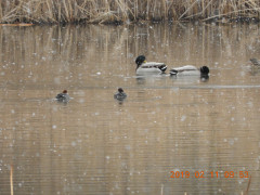 DSCN6635.JPG