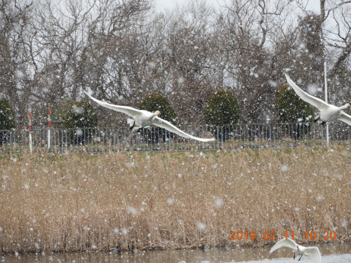 DSCN6654.JPG