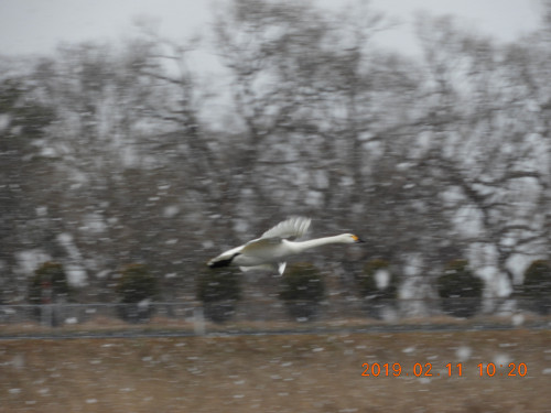 DSCN6655.JPG