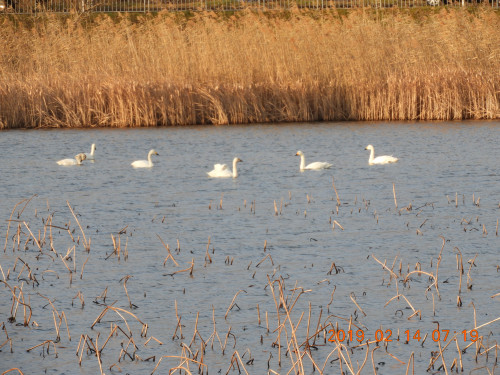 DSCN6675.JPG