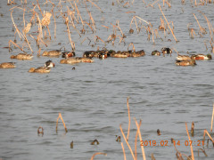DSCN6678.JPG