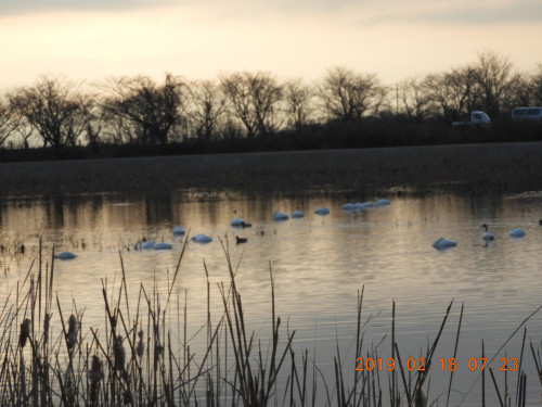 DSCN6895.JPG