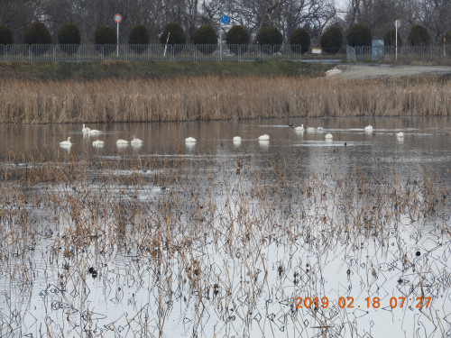 DSCN6900.JPG