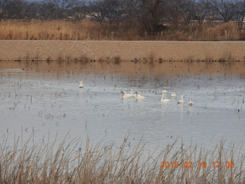 DSCN6915.JPG
