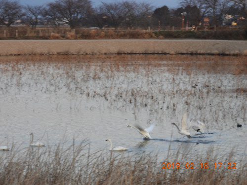 DSCN6927.JPG