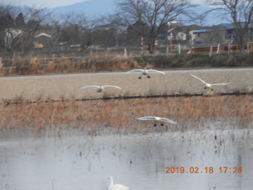 DSCN6934.JPG