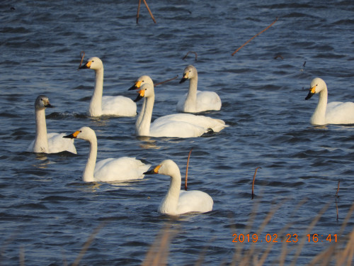 DSCN6997.JPG