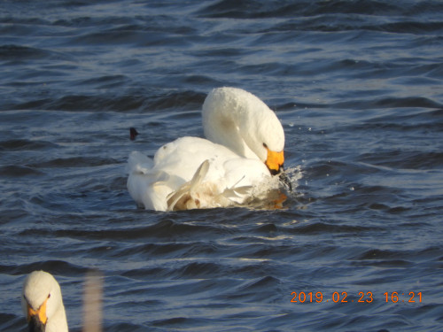 DSCN6975.JPG