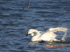 DSCN6978.JPG