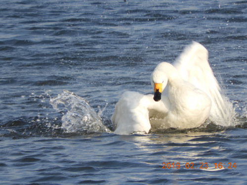 DSCN6982.JPG