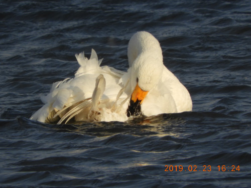 DSCN6984.JPG