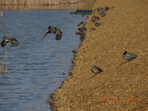 DSCN7214.JPG