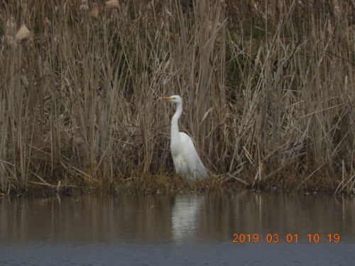 DSCN7217.JPG