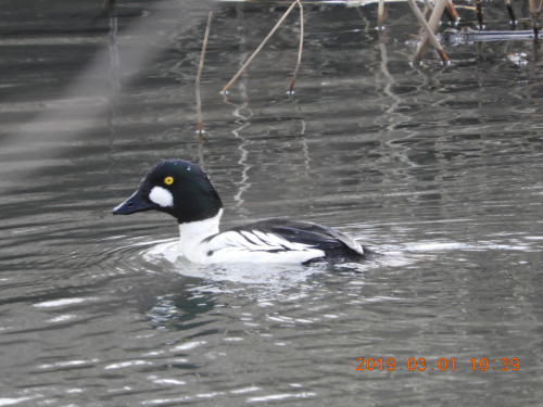 DSCN7223.JPG