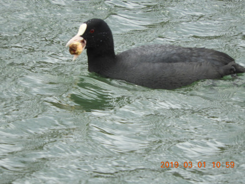 DSCN7229.JPG