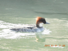 DSCN7245.JPG