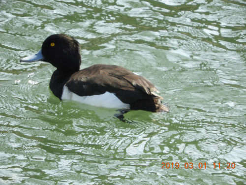 DSCN7254.JPG