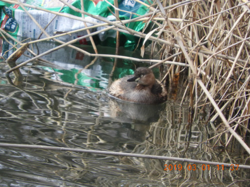 DSCN7260.JPG