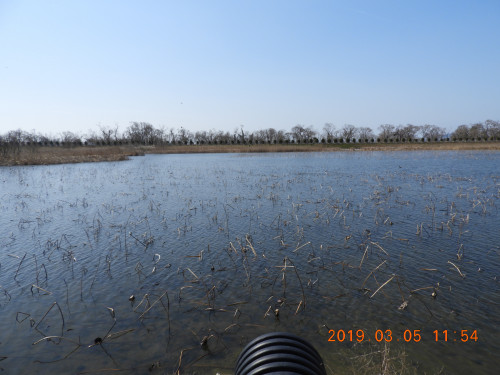 DSCN7271.JPG