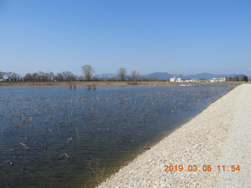 DSCN7272.JPG